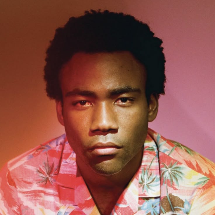 Because the Internet album cover